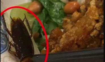 广西男子嗦粉碗中发现蟑螂：以为是送的蚕蛹 还收了餐费