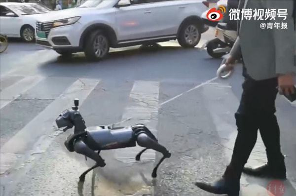 上海男子街头遛9999元机械狗 这画面太吸睛