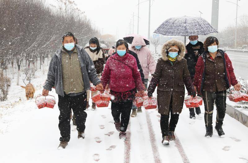 风雪中西安十位莓农为防疫人员送去新鲜草莓