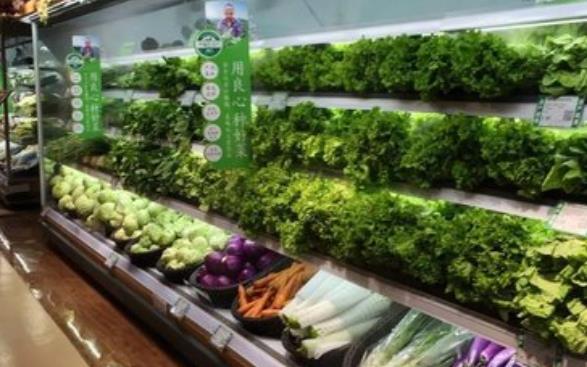 华商头条|鄠邑：蔬菜等生活必需品将分时段、分街道、分村组、分楼栋、分单元逐步免费上门派送