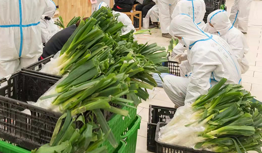 华商头条|西安高新区：每户居民免费发放20斤蔬菜 品种不少于5种