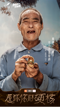 碧桂园在陕西文化IP新升级，“美好家圆体验官”上线698.png