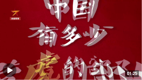 “含虎量”爆表！“老虎部队”硬核拜年扑面而来