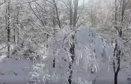 过年，一起去秦岭看雪