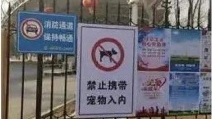 游客带狗进野生动物园引老虎追赶 园方：希望游客文明游园