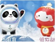 网传西安双胞胎起名雪融融冰墩墩 出生医院：假的