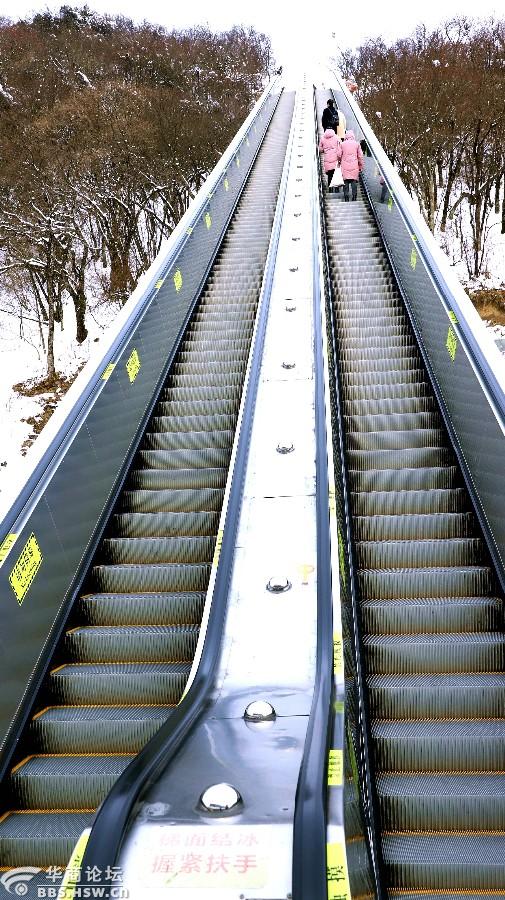 龙头山川陕交界最佳赏雪地