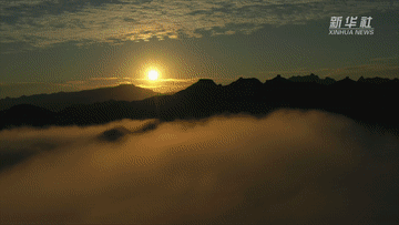 9.gif