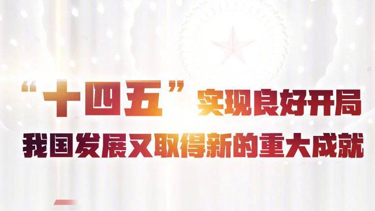 2021年GDP增长8.1%