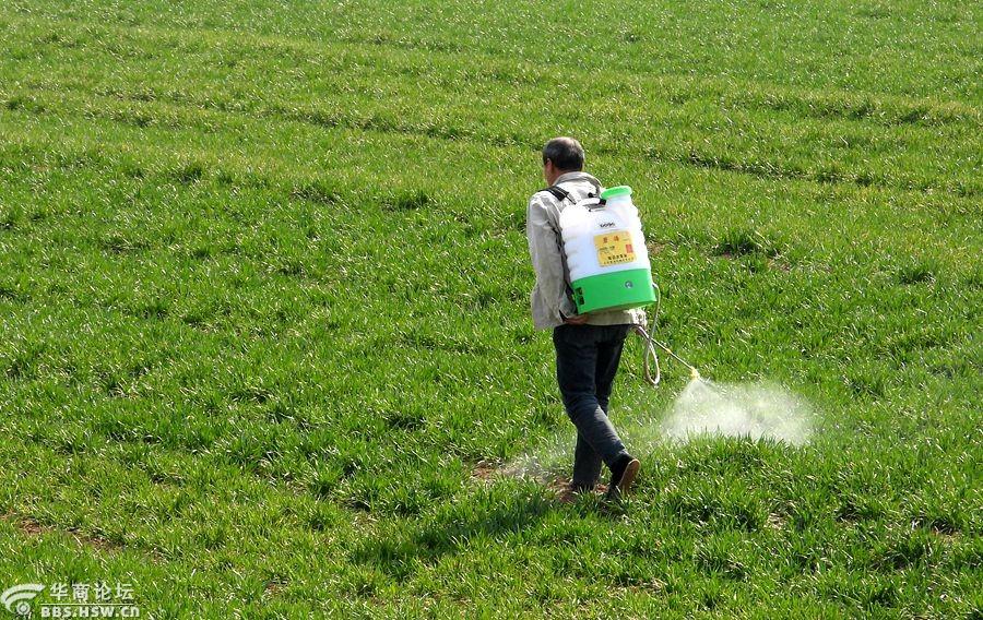 实拍嵯峨山区农民科学种田及时喷药清除杂草