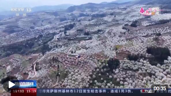QQ截图20220314182224.jpg