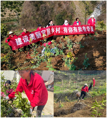 华夏保险陕西分公司组织开展“绿化乡村，华夏先行”主题活动