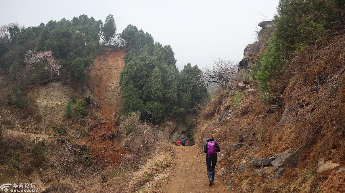 主题:【春游赏花】3.19 骑行临潼大水沟穿越仁宗庙赏花