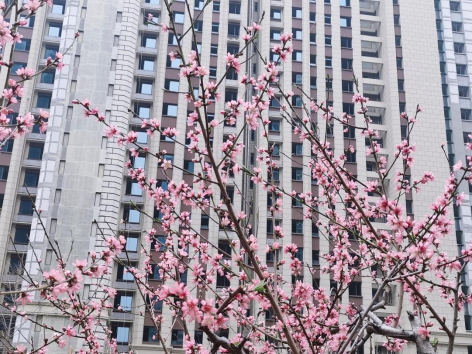 汇悦城工地参观活动-20220322151.png