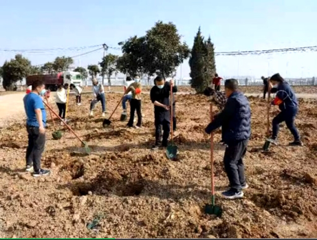 华商头条|高陵区通远街道：植树添新绿 生态助振兴