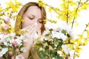 华商头条|花粉过敏症状该如何缓解?