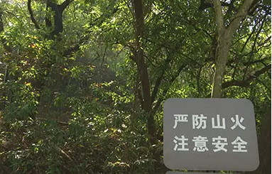 森林草原火险红色预警已发布 环山路（107省道）沿线严禁游客进山