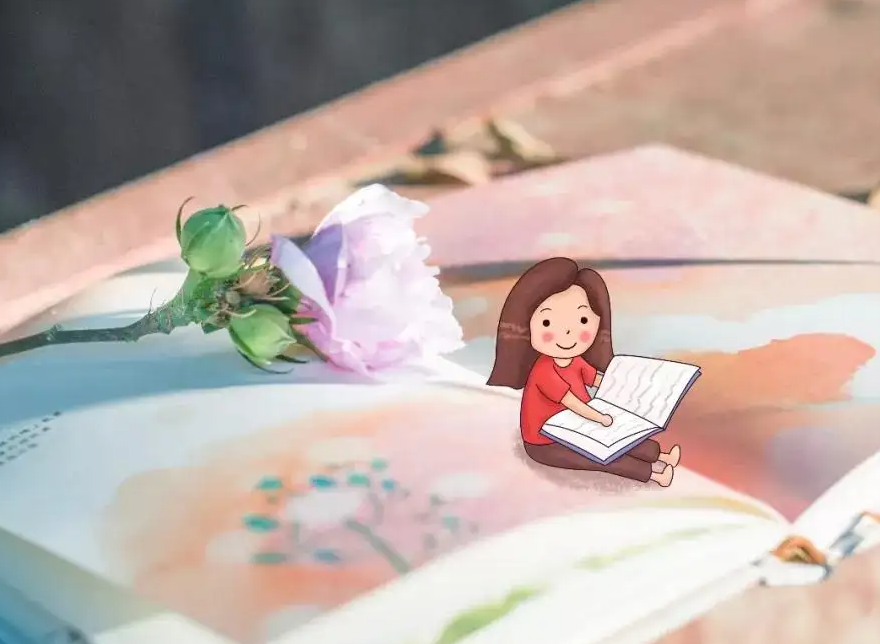 如何指导学生进行数学阅读