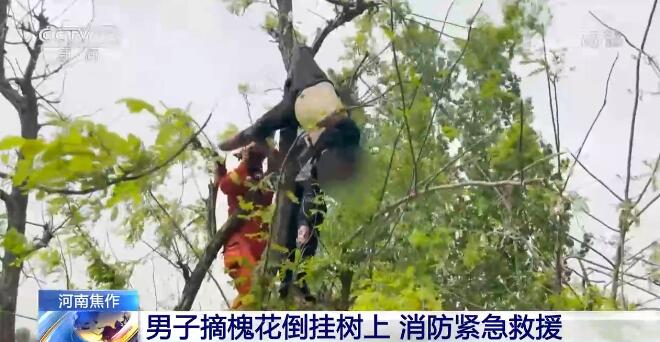 【凡人微光】男子摘槐花倒挂树上 消防紧急救援