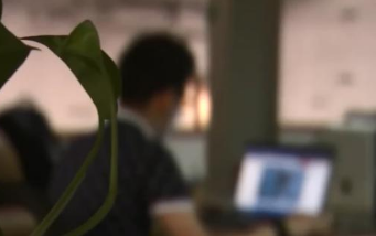 上海居民收到的面粉官网是赌博色情网站？生产厂家：网站被篡改
