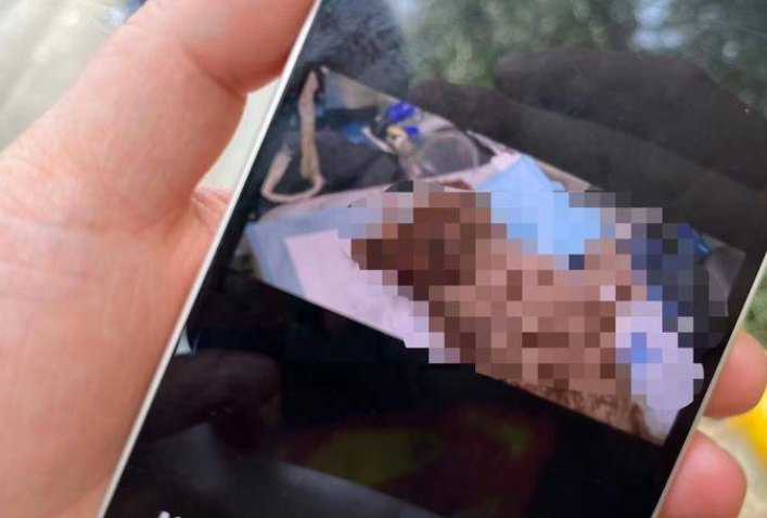 西安枫叶新都市小区多只宠物狗蹊跷死亡 警方展开调查