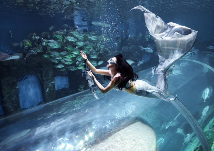 职业趣多多之“人鱼”教练：迷上潜水 也帮更多女孩圆梦“美人鱼”