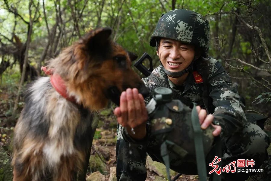 支队总监制屠志总策划季春红执行策划吴亮摄像徐伟 朱立记者李毅成 赵