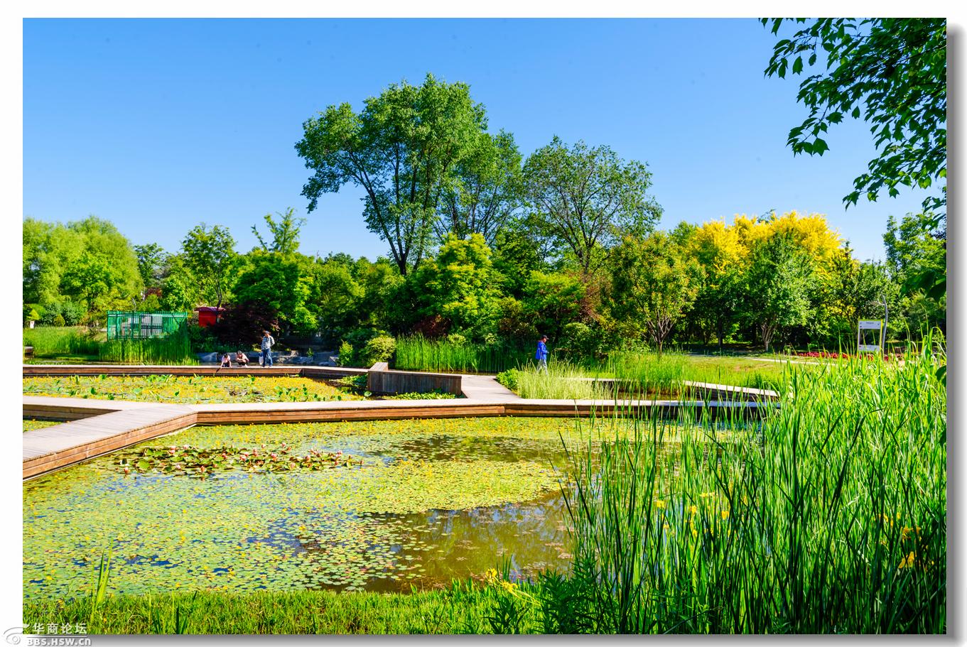 西安植物园的初夏之美