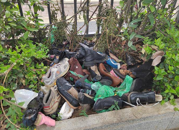 兴庆西路人行道绿化带成了“垃圾台”市民盼尽快清理