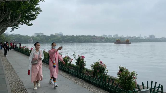 西湖柳树换月季引刷屏关注 网民期盼：决策还需谨慎、柔软