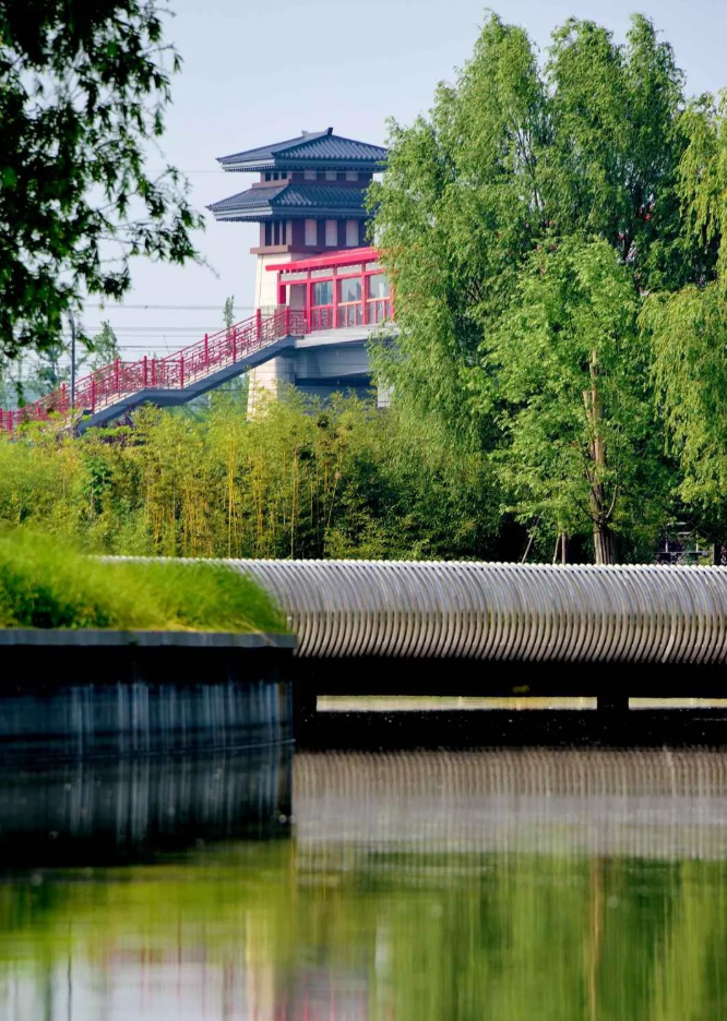 秦汉新城游园赏花莫负时光