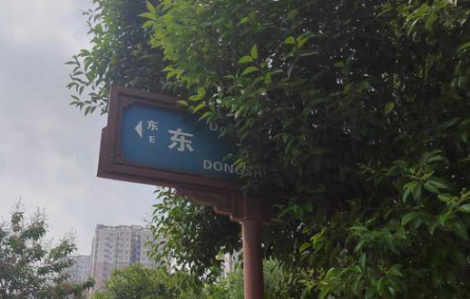 呼声回应丨西安子午路十字红绿灯、路牌和行人“躲猫猫”