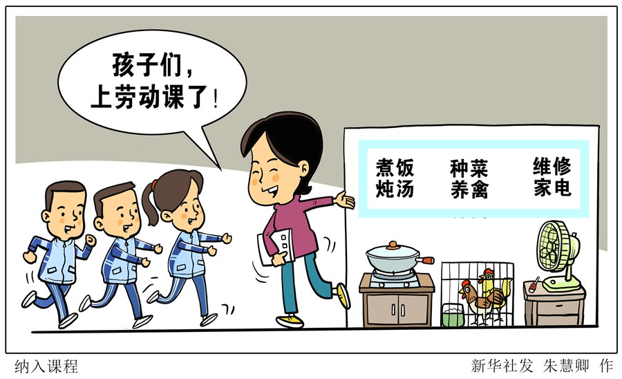 孩子们，上劳动课了！——聚焦中小学新版劳动课几个关注