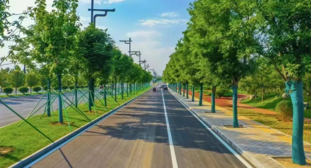 完成兰池大道,泾渭大道等迎宾线路拆违覆绿增绿,新增彩叶,开花类