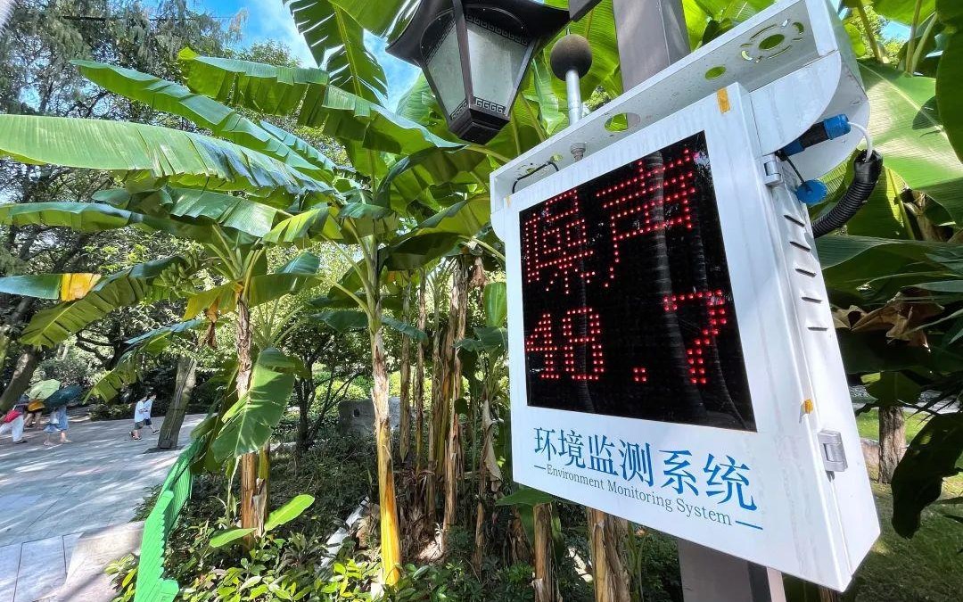 6月起，这些新规将影响你我生活