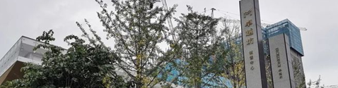 少年黑客10岁可破解开机密码 盗取QQ号日赚千元