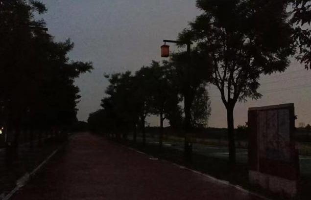 沣河诗经绿道照明灯为啥未亮灯？西咸新区：提升检修，预计7月中旬亮灯