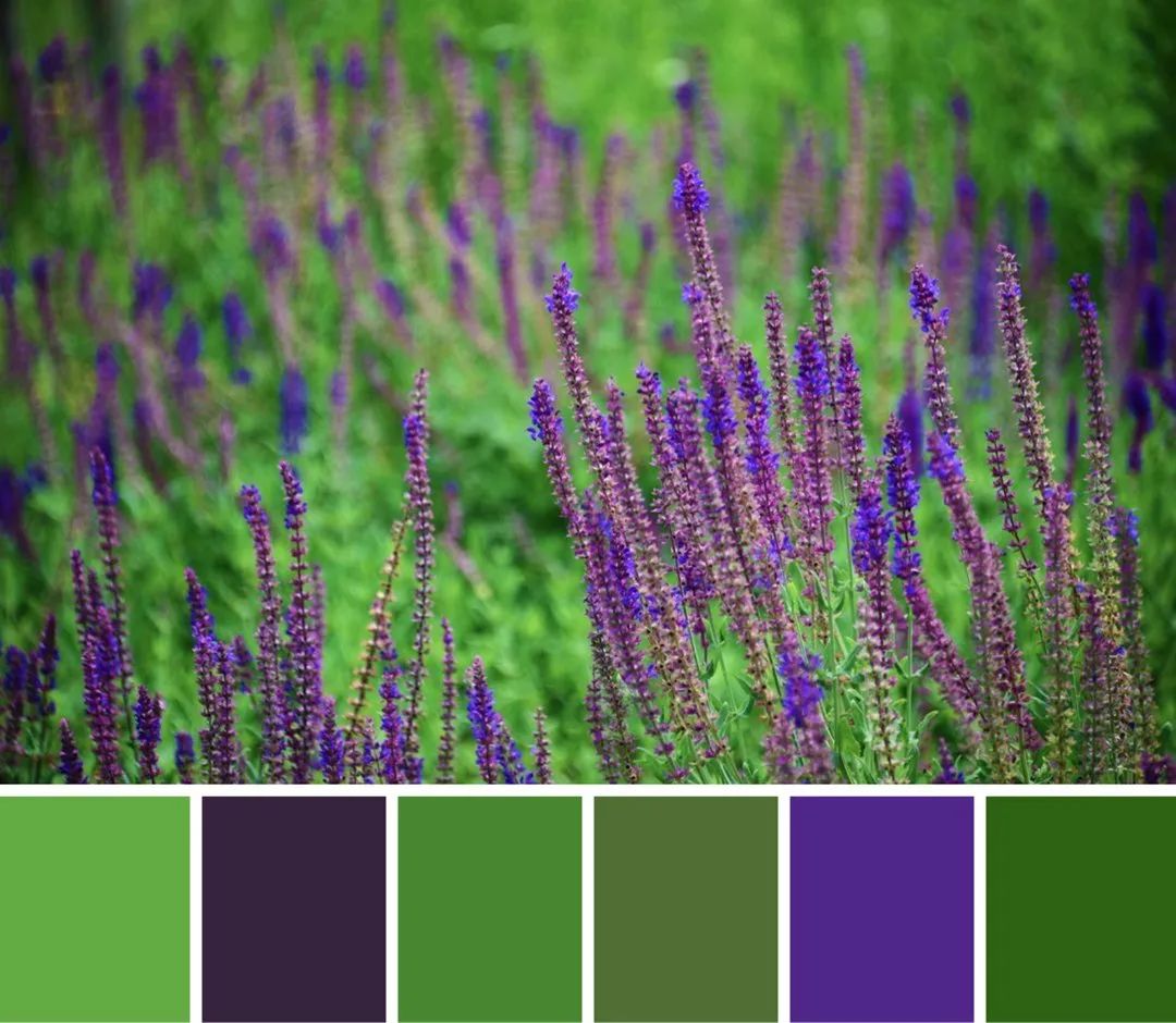 快来解锁秦汉夏日专属色卡