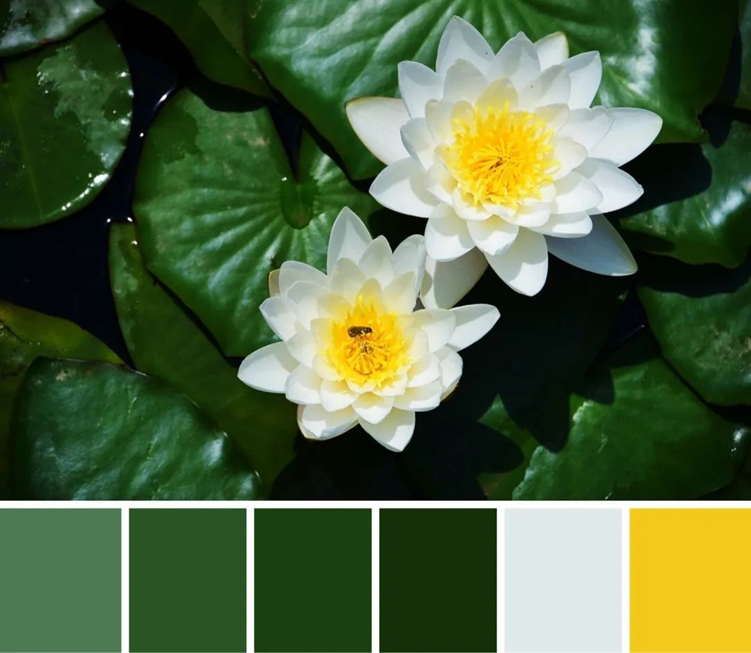 快来解锁秦汉夏日专属色卡