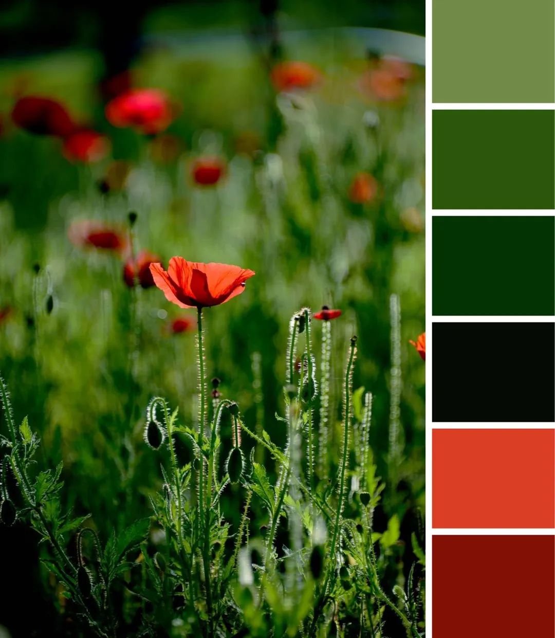 快来解锁秦汉夏日专属色卡