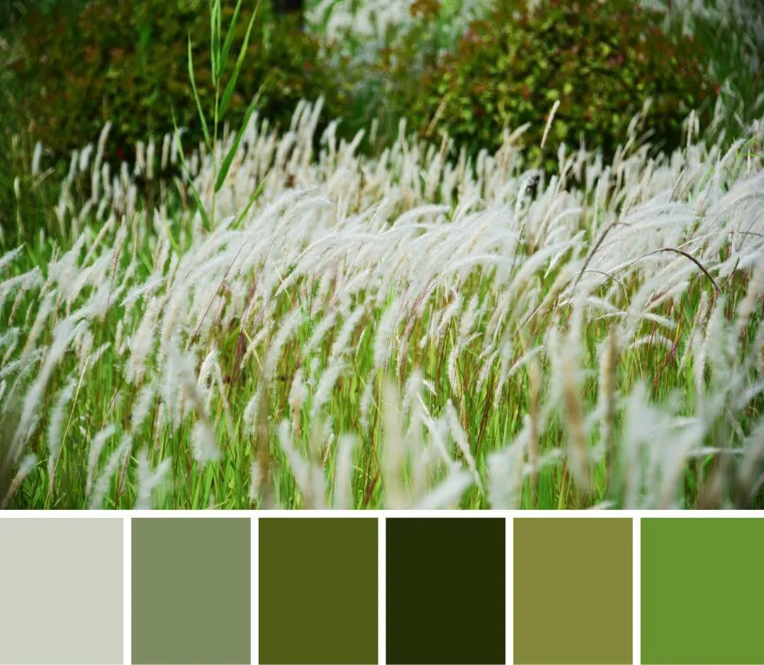 快来解锁秦汉夏日专属色卡