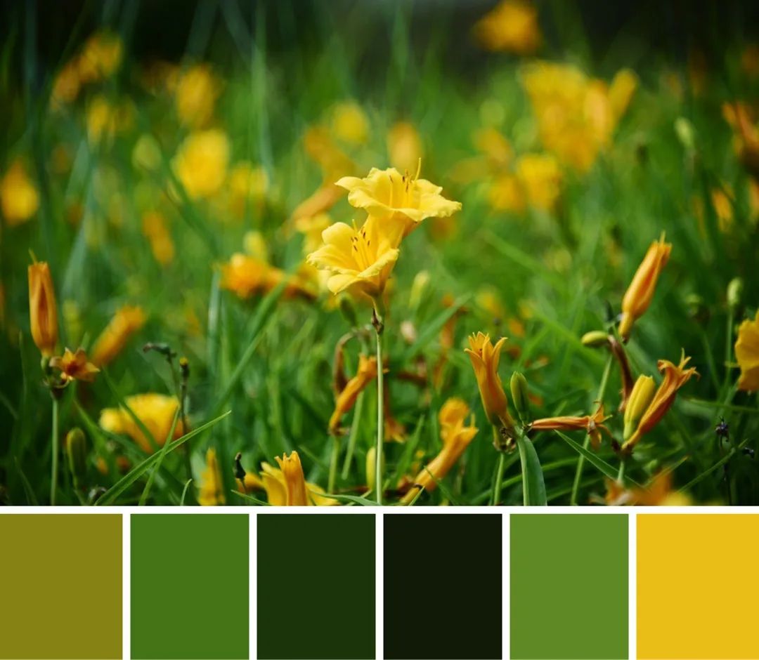 快来解锁秦汉夏日专属色卡