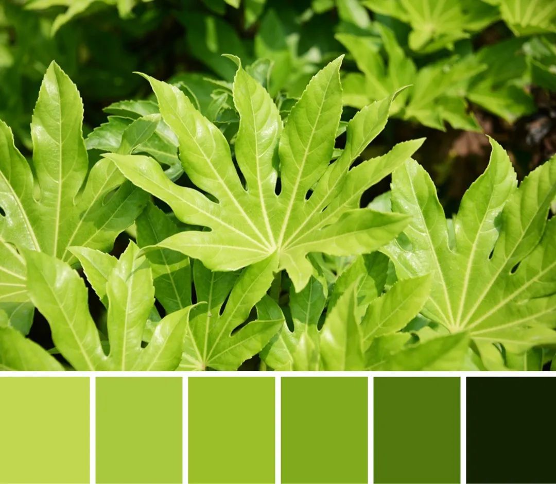 快来解锁秦汉夏日专属色卡