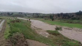辽宁强降雨致417公顷农作物受灾 12座水库正在泄洪