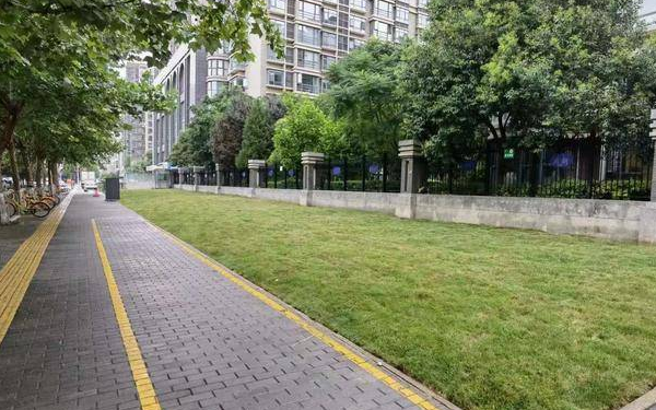 追踪|建设单位称口头与小区物业达成协议 责令恢复绿地并处罚