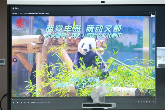 图片 10.png
