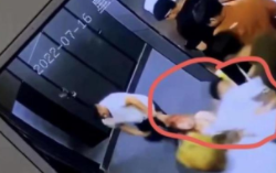 女子在酒吧厕所被强行拖进隔间？警方介入调查目击者发声