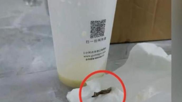 潮州一网红奶茶被曝喝出壁虎 总部回应：暂未发现来源