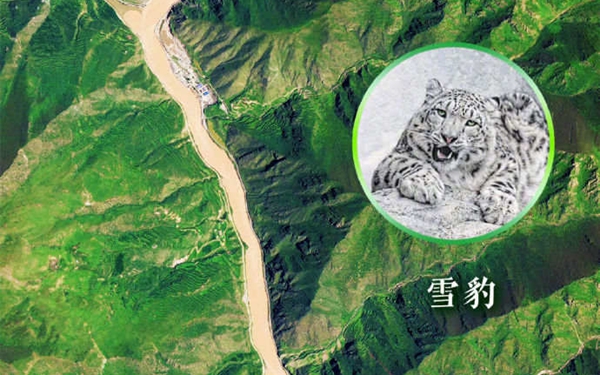 惊艳！卫星视角看国家公园