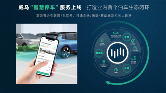 图片 4_副本.png
